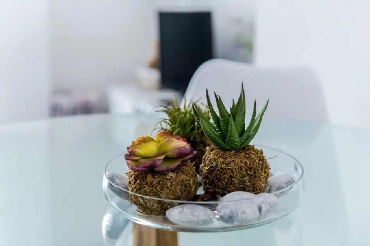 Tuguest Violeta'S Home - Free Parking Granada Apartment